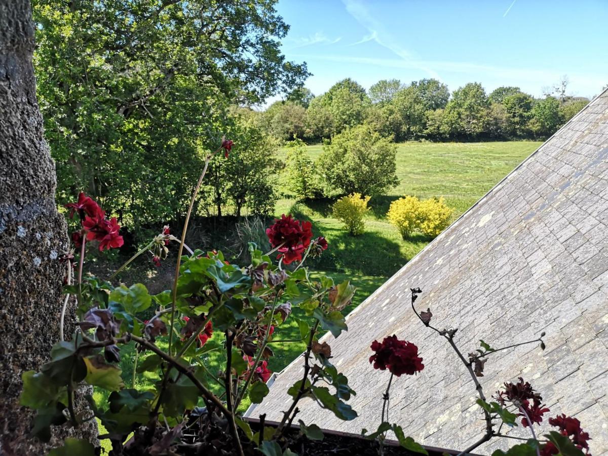 Manoir De La Foulerie Bed & Breakfast Ancteville Exterior photo